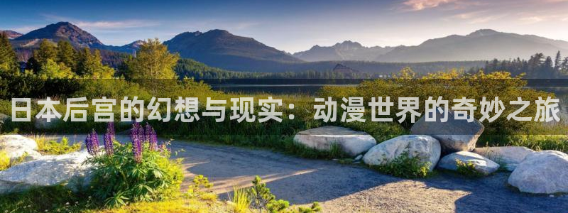 ova里番动画：日本后宫的幻想与现实：动漫世界的奇妙之旅