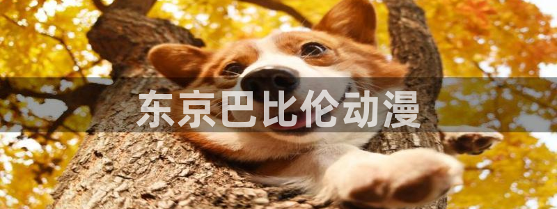 看里番动漫的网站：东京巴比伦动漫