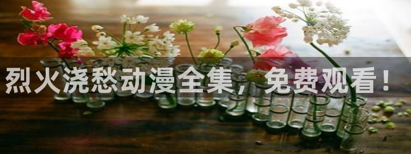无修里番动漫网：烈火浇愁动漫全集，免费观看！