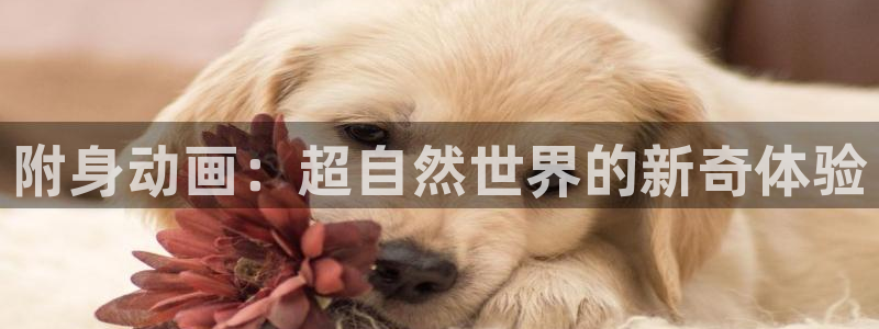 里番漫画免费在线：附身动画：超自然世界的新奇体验
